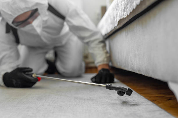 Professional Bed Bug Control technician working in North Olmsted, OH