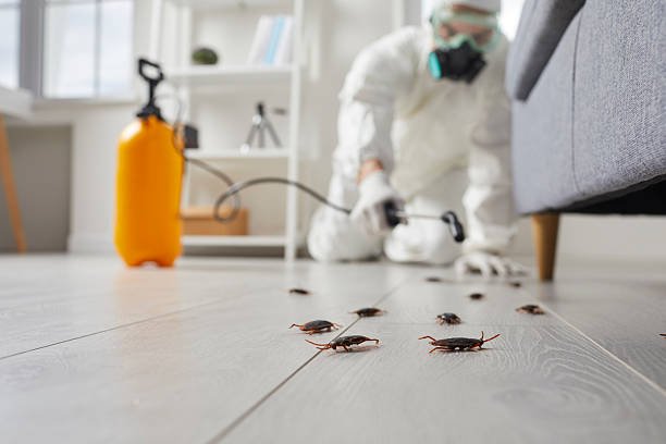 Trusted Rodent Control service in North Olmsted, OH - Nex Pest Control
