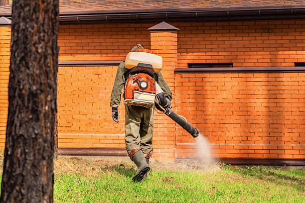 Trusted Cockroach Control service in North Olmsted, OH - Nex Pest Control